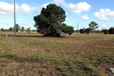 Land in Placida, Florida № 2162190