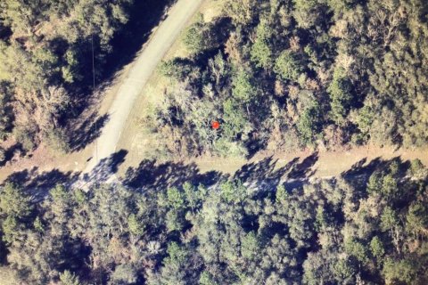 Land in Ocala, Florida № 2159278