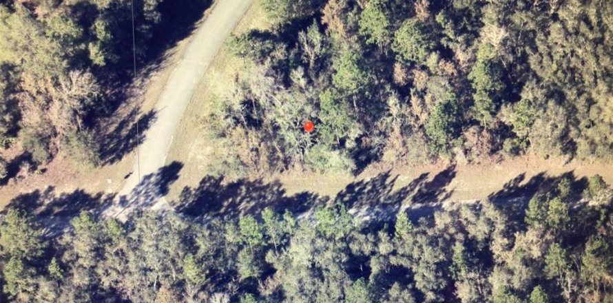 Land in Ocala, Florida № 2159278