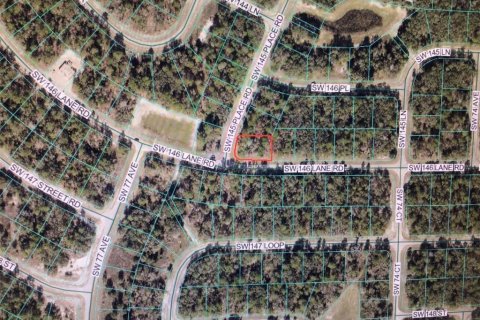 Land in Ocala, Florida № 2159278 - photo 4
