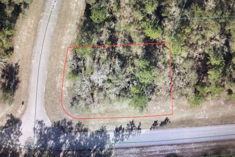 Land in Ocala, Florida № 2159278 - photo 5