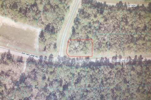 Land in Ocala, Florida № 2159278 - photo 3