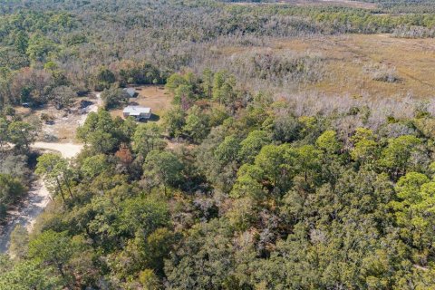 Terreno en venta en Crystal River, Florida № 2164418 - foto 9