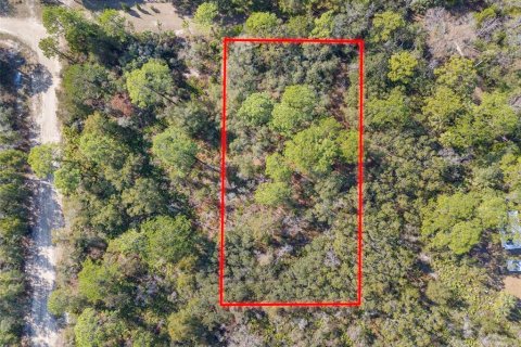 Terreno en venta en Crystal River, Florida № 2164418 - foto 2