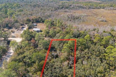 Terreno en venta en Crystal River, Florida № 2164418 - foto 3