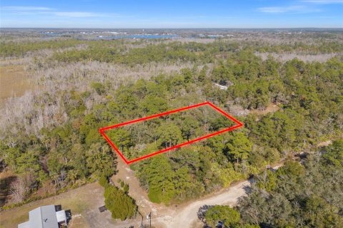 Terreno en venta en Crystal River, Florida № 2164418 - foto 5