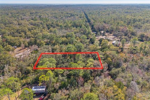 Terreno en Crystal River, Florida № 2164418