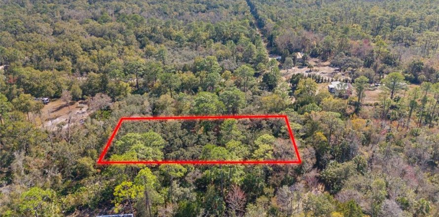 Terreno en Crystal River, Florida № 2164418