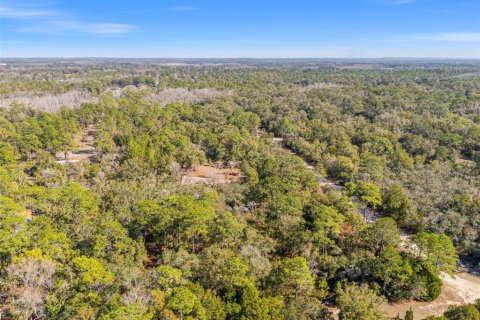 Terreno en venta en Crystal River, Florida № 2164418 - foto 7