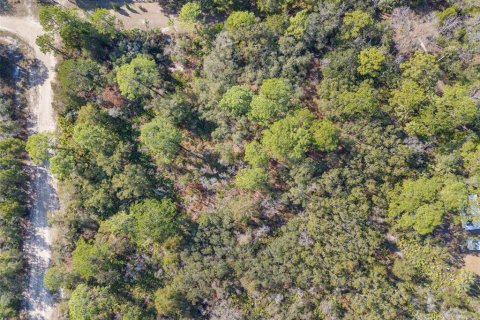 Terreno en venta en Crystal River, Florida № 2164418 - foto 11