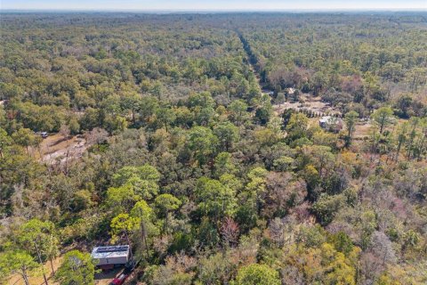 Terreno en venta en Crystal River, Florida № 2164418 - foto 10