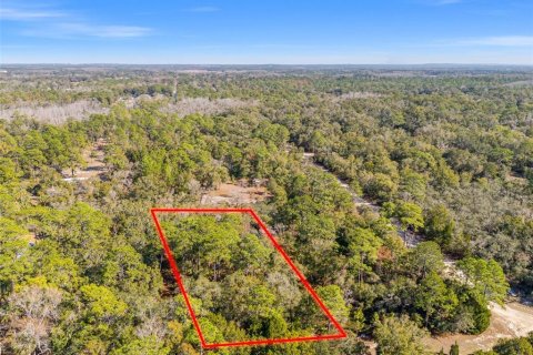 Terreno en venta en Crystal River, Florida № 2164418 - foto 6