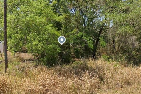 Land in Ocala, Florida № 2402737 - photo 5