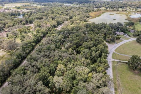Terreno en venta en Spring Hill, Florida № 1900424 - foto 6