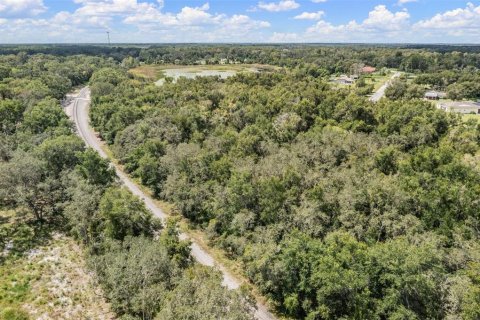 Terreno en venta en Spring Hill, Florida № 1900424 - foto 15