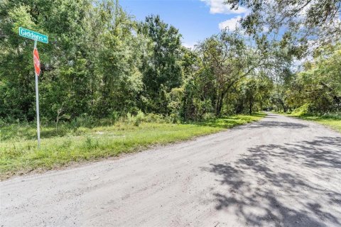 Terreno en venta en Spring Hill, Florida № 1900424 - foto 11