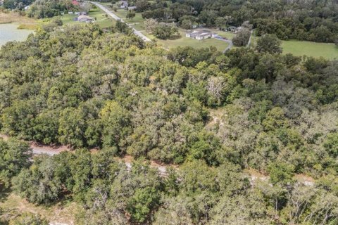 Terreno en venta en Spring Hill, Florida № 1900424 - foto 7