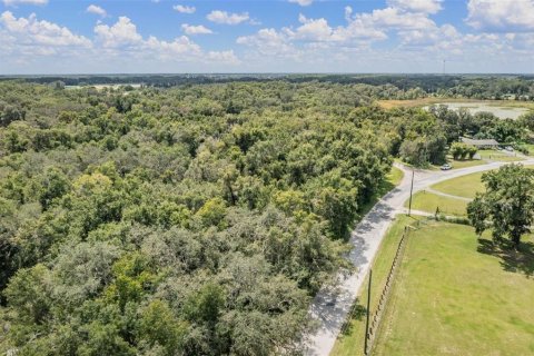 Terreno en venta en Spring Hill, Florida № 1900424 - foto 14