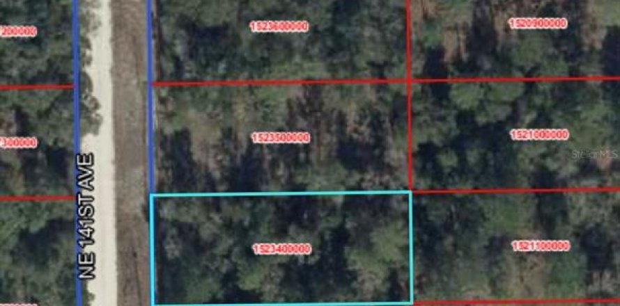 Land in Williston, Florida № 2164942