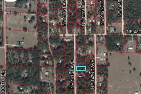 Land in Williston, Florida № 2164942 - photo 2