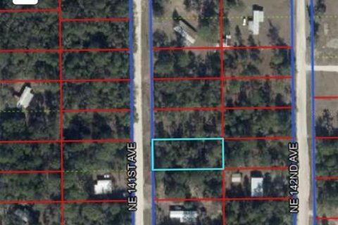 Land in Williston, Florida № 2164942 - photo 3