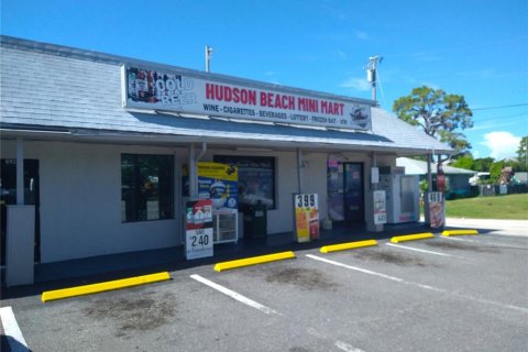 Immobilier commercial à vendre à Hudson, Floride: 109.44 m2 № 1919250 - photo 26