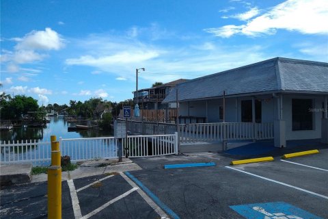 Immobilier commercial à vendre à Hudson, Floride: 109.44 m2 № 1919250 - photo 3