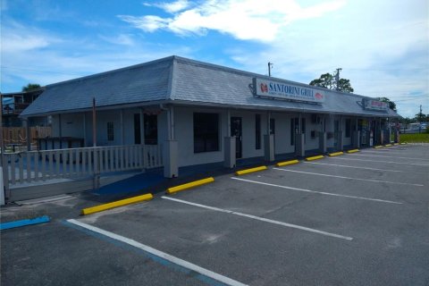 Immobilier commercial à vendre à Hudson, Floride: 109.44 m2 № 1919250 - photo 2