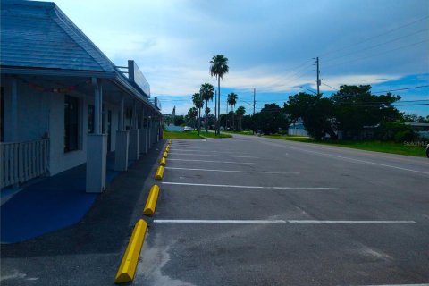 Immobilier commercial à vendre à Hudson, Floride: 109.44 m2 № 1919250 - photo 5