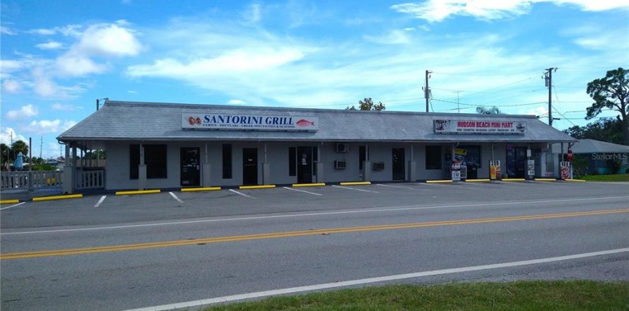 Commercial property in Hudson, Florida 109.44 sq.m. № 1919250