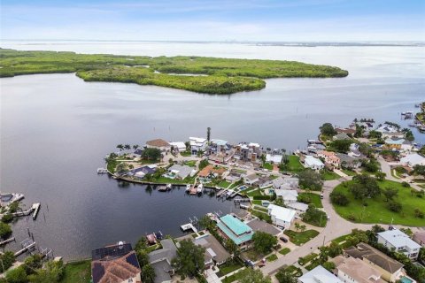 House in Saint Petersburg, Florida 5 bedrooms, 352.84 sq.m. № 2152200