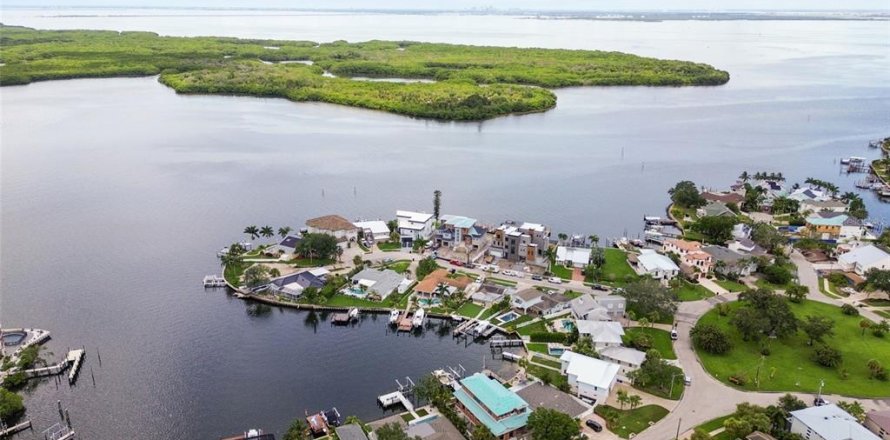 House in Saint Petersburg, Florida 5 bedrooms, 352.84 sq.m. № 2152200
