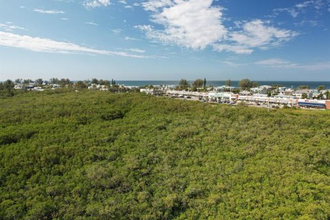 Copropriété à louer à Holmes Beach, Floride: 2 chambres, 91.04 m2 № 1757763 - photo 5