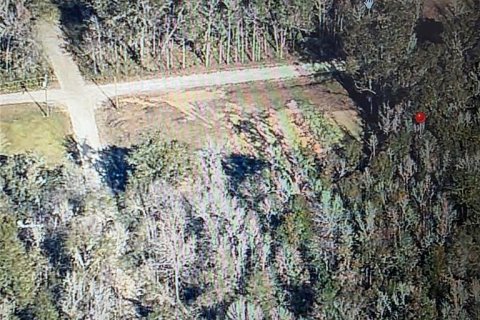 Land in Ocala, Florida № 2159149