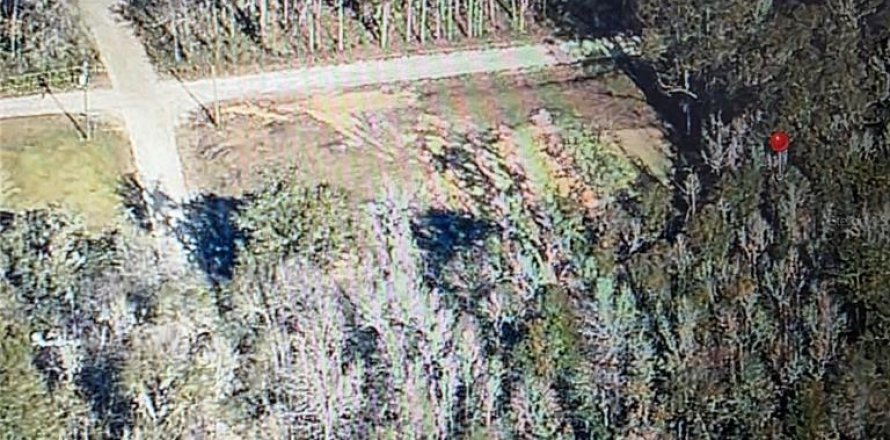Land in Ocala, Florida № 2159149