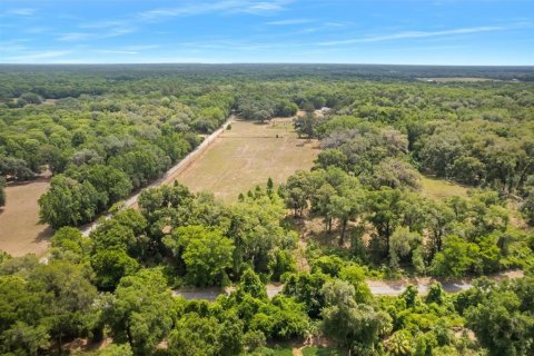 Casa en venta en Floral City, Florida, 3 dormitorios, 202.9 m2 № 729294 - foto 25
