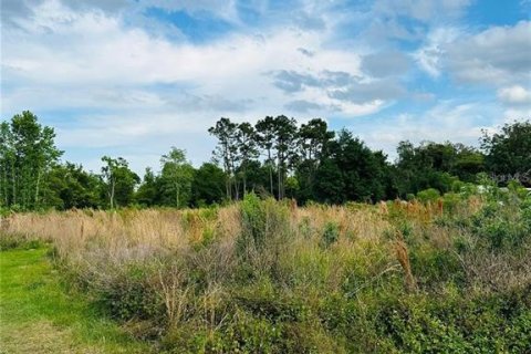 Land in Orlando, Florida № 1900874 - photo 14