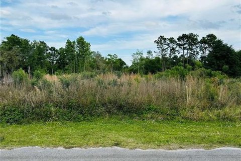Land in Orlando, Florida № 1900874 - photo 12