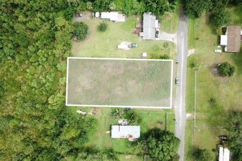 Land in Orlando, Florida № 1900874 - photo 2