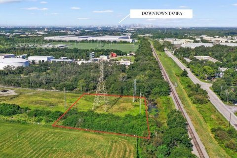 Land in Tampa, Florida № 1909087 - photo 12