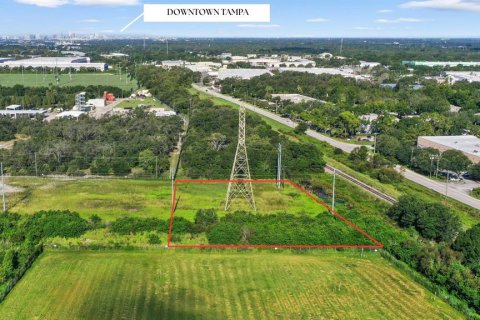 Land in Tampa, Florida № 1909087 - photo 11