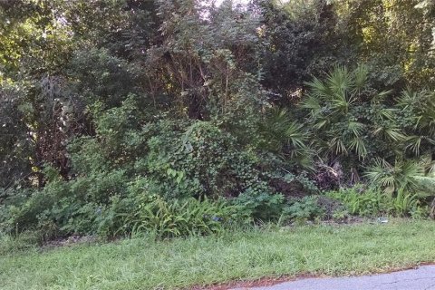 Terreno en Deltona, Florida № 2099501