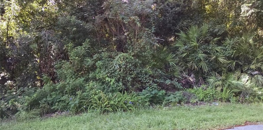 Terreno en Deltona, Florida № 2099501