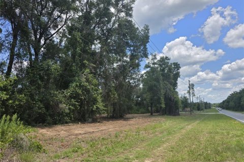 Terreno en venta en Hernando, Florida № 1805510 - foto 14