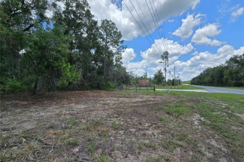 Terreno en venta en Hernando, Florida № 1805510 - foto 15