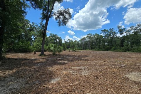 Terreno en venta en Hernando, Florida № 1805510 - foto 11