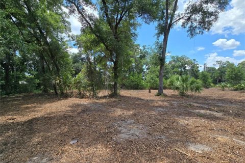 Terreno en venta en Hernando, Florida № 1805510 - foto 12