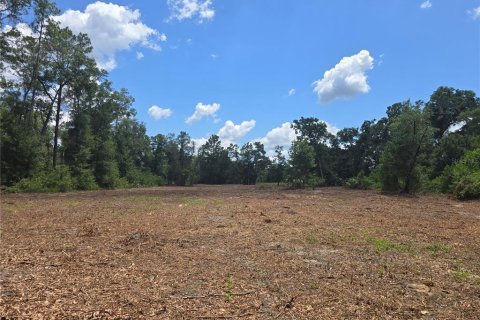 Terreno en venta en Hernando, Florida № 1805510 - foto 2