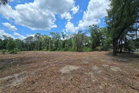 Terreno en venta en Hernando, Florida № 1805510 - foto 10