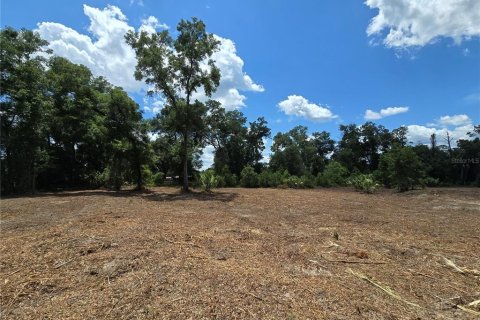 Terreno en venta en Hernando, Florida № 1805510 - foto 7